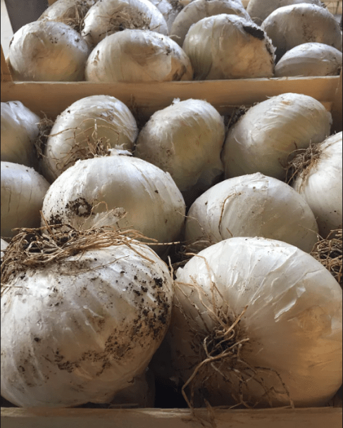 Capture d’écran 2020-10-10 à 11.11.32