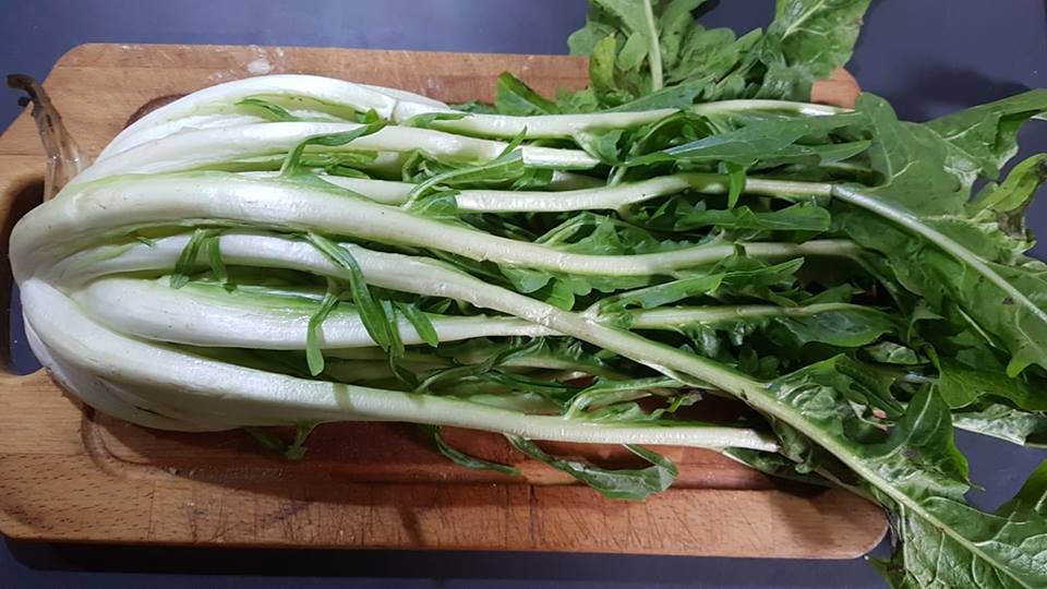 puntarelle
