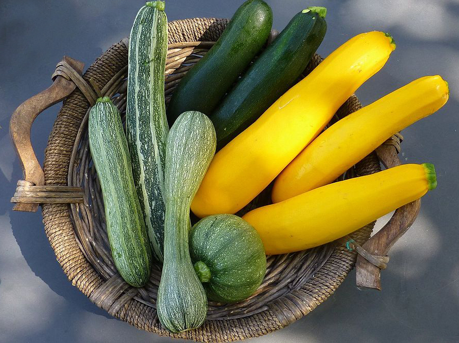zucchine