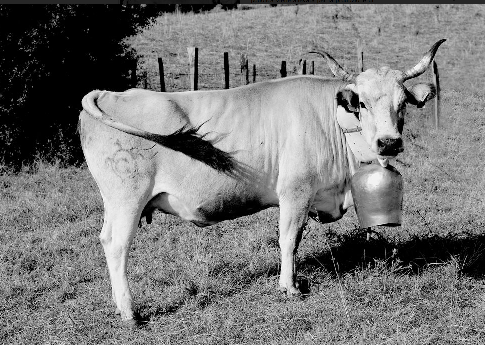 Capture d’écran 2015-11-30 à 14.34.07
