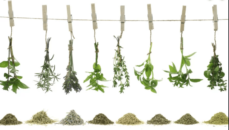 Capture d’écran 2019-10-23 à 19.20.17