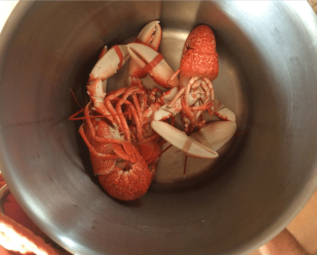 Capture d’écran 2019-10-18 à 09.34.42