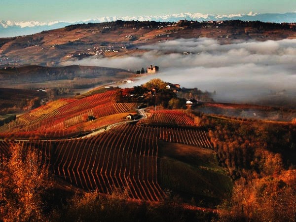 langhe