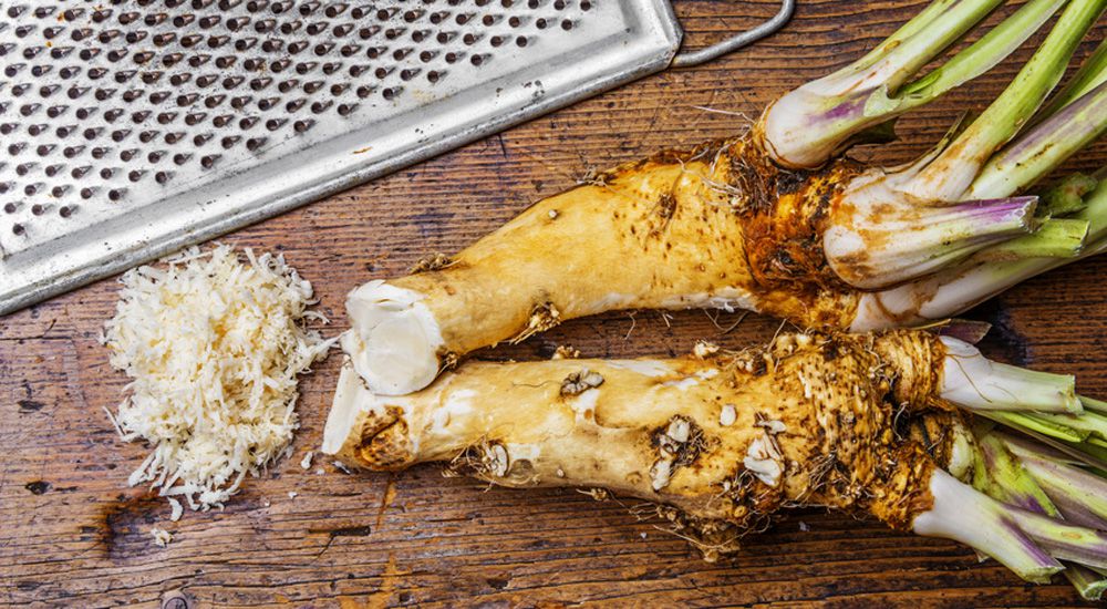 fresh grated horseradish on a kitchen table